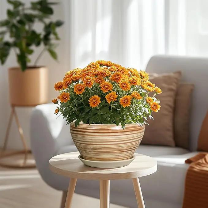 Indoor Planter 9 Inch - Ceramic Pots for Plants Plant Pot Indoor with Drainage Hole and Saucer Round Large Planter Modern Outdoor Flower Pot for House Patio Yellow by GreenHaven Gardens