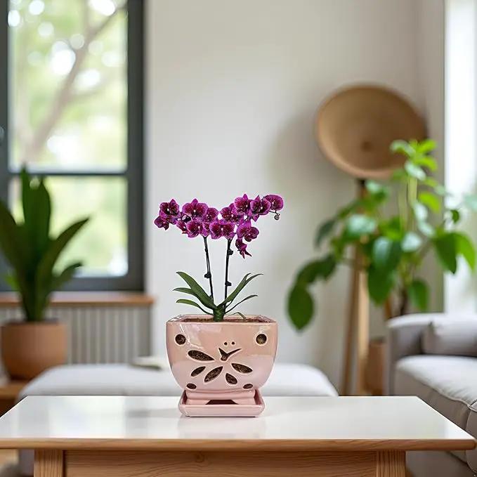 Orchid Pots with Holes Square Ceramic Orchid Planter Pots 5.5 inch (Pink)