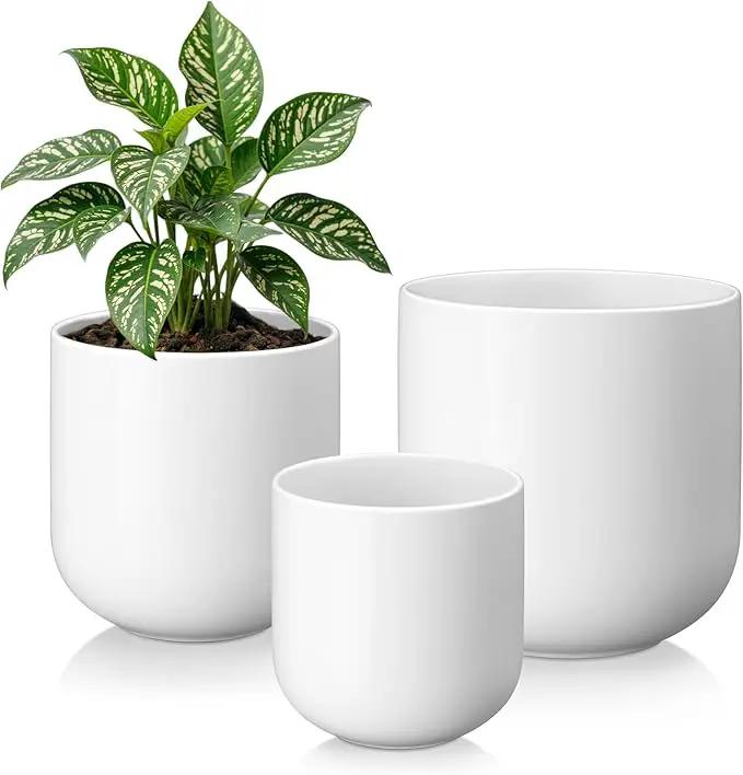 vancasso 6+8+10 inches Ceramic Plant Pots, Set of 3, Planters with Drainage Hole, Flower Pots Planters Pots for Indoor Plants, Modern Indoor Decorative Garden Pot, Home Decor, White by GreenHaven Gardens