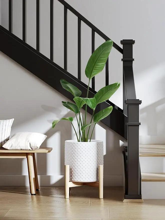 LE TAUCI Ceramic Plant Pots Indoor, 10+8+6 Inch Planters for Indoor Plants, Raised Dots Flower Pots with Drainage Hole and Plug, Cylinder Round Planters, Set of 3, White by GreenHaven Gardens