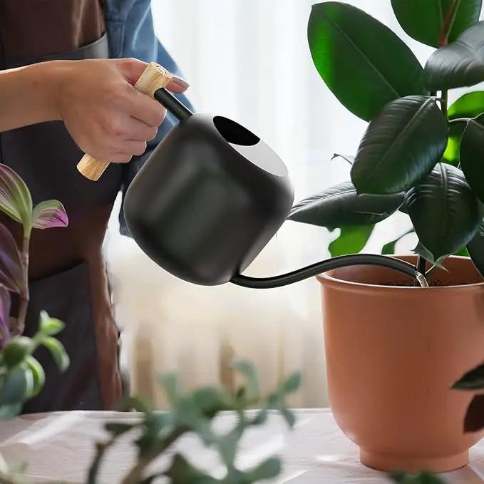 Green Moon Water Can Indoor Plant Black 1.2L/41oz with Long Spout Small Water Can Metal Watering Can Pot for Indoor House Plant Bonsai Outdoor Garden Flowers Decorative by GreenHaven Gardens