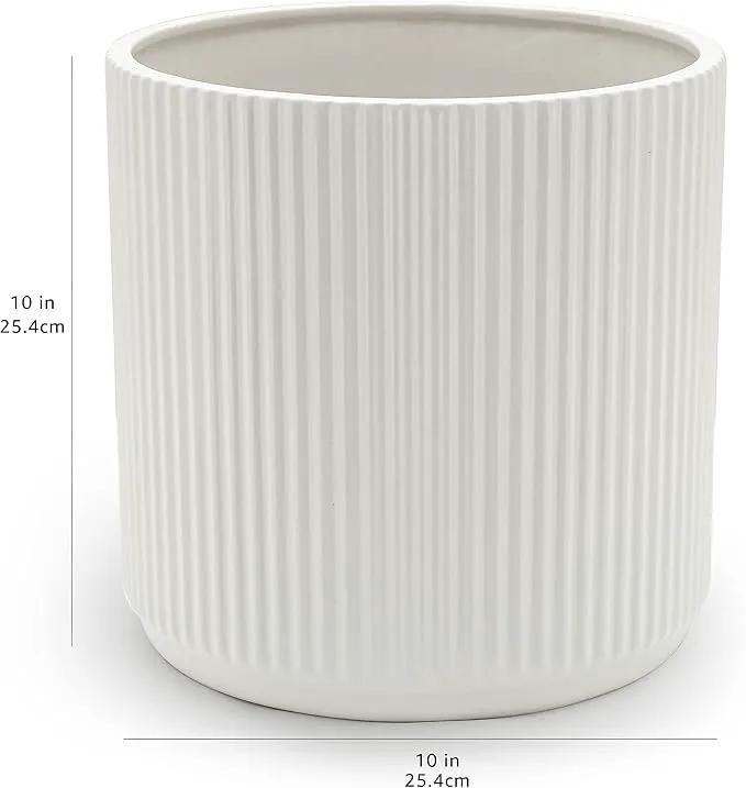 Amazon Basics Fluted Ceramic Round Planter, 10 in, White by GreenHaven Gardens