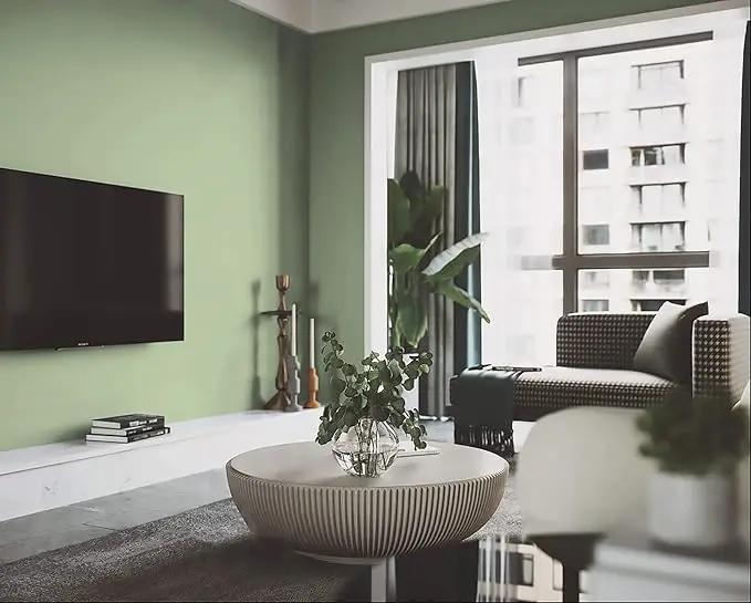 Dimoon 394''x17.3'' Green Skin Peel and Stick Wallpaper Contact Paper Modern Self Adhesive Wall Paper Removable Renter Friendly Textured Solid Color Vinyl Roll (394''x17.3'',Light Green Skin) by GreenHaven Gardens