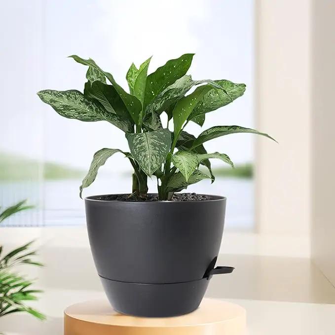 12 inch Large Self Watering Pots for Indoor Outdoor Plants, Flower Plant Pots with Mesh Drainage Holes for Garden House, Plastic Planters with Reservoir for Home Decor, Black by GreenHaven Gardens