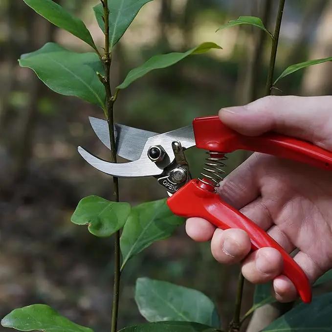 BUGUI Pruning Shears Garden Shears - Premium Alloy Steel Bypass Pruner, Precision-ground Blades, Heavy Duty Gardening Tools, 7" (H201) by GreenHaven Gardens