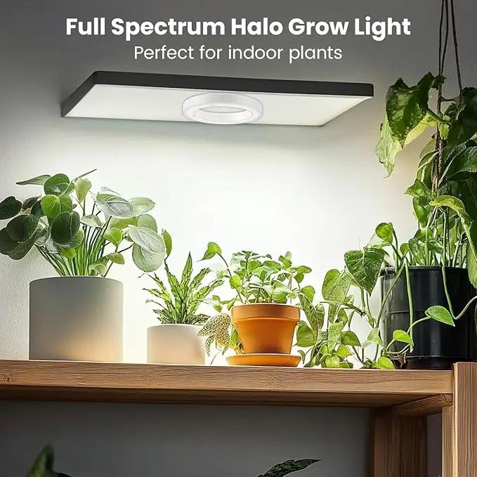 6" Ceiling Grow Lights for Indoor Plants, 84 LEDs Full Spectrum Plant Grow Light with 6/12/16H Timer, 3 Spectrum Modes, 5 Brightness Levels, Under Cabinet Halo Plant Lamp for Small Plants by GreenHaven Gardens