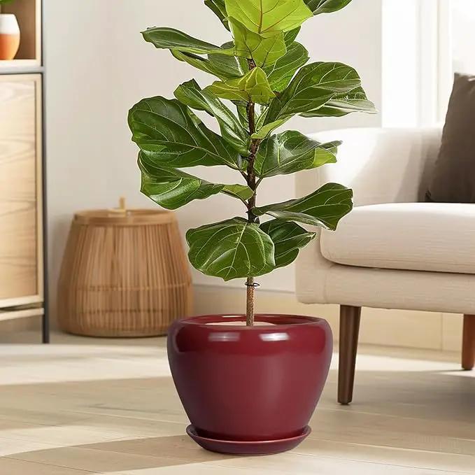 Ceramic Planter - 8 Inch Plant Pot Indoor with Drainage Hole and Saucer Planter for Outdoor Plants Round Flower Pot for House Patio Decor Red by GreenHaven Gardens