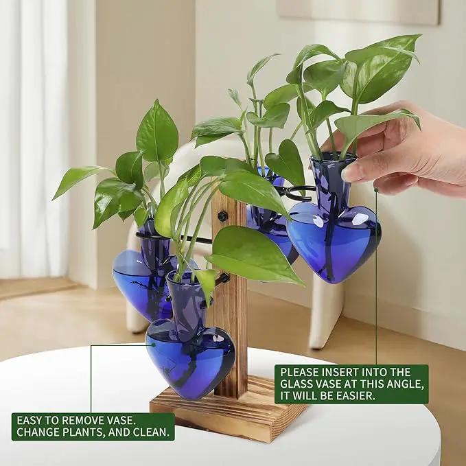 Plants Propagation Stations Plant Terrarium Kit Glass Planters for Indoor Plants House Plant Accessories Gift for Women - 4 Love Bulb Vase by GreenHaven Gardens