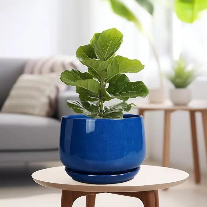 G EPGardening Ceramic Pots for Plants, 9 Inch Modern Round Planter with Drainage and Tray Indoor Outdoor for Flower, Patio Decor, Housewarming Gifts, Blue by GreenHaven Gardens