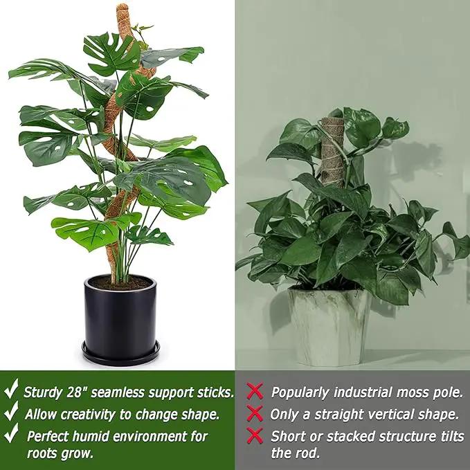 2 Pack Moss Pole, 28 Inch Bendable Moss Pole for Plants Monstera, Moss Poles for Climbing Plants Indoor, Coir Plant Pole Sticks Support Stakes for Potted Plant, Pothos, Philodendron by GreenHaven Gardens