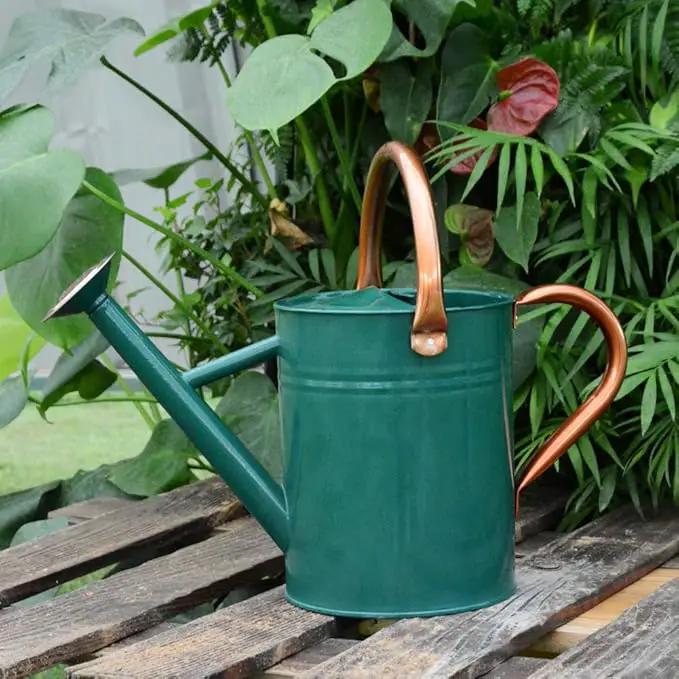 Steel Watering Can Sliver Galvanized Steel Watering Can with Copper Accents,Removable Rosette-Diffuser,One-Gallon Green by GreenHaven Gardens