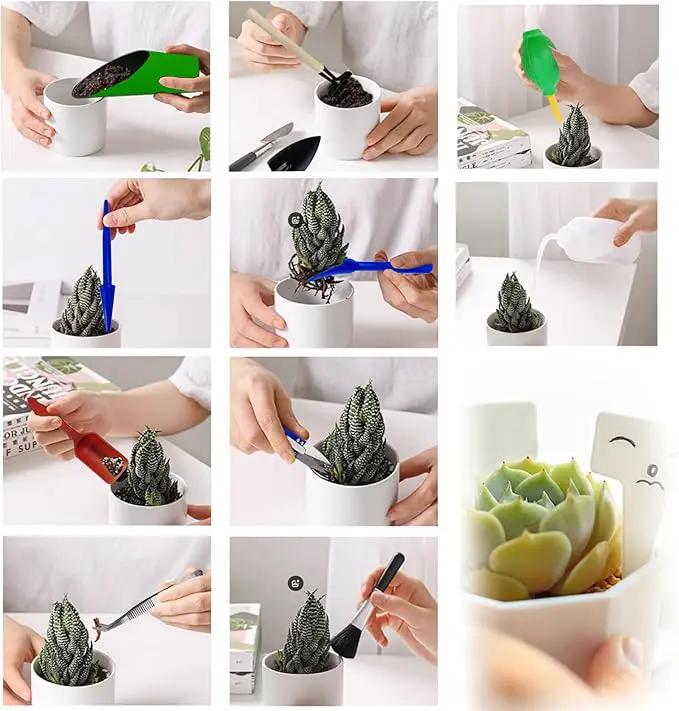 GXXMEI 20PCS/Set Succulent Tools, Mini Garden Tool Set, Transplanting Tools Set, Succulent Care kit for Succulent Miniature Gardening Plant by GreenHaven Gardens