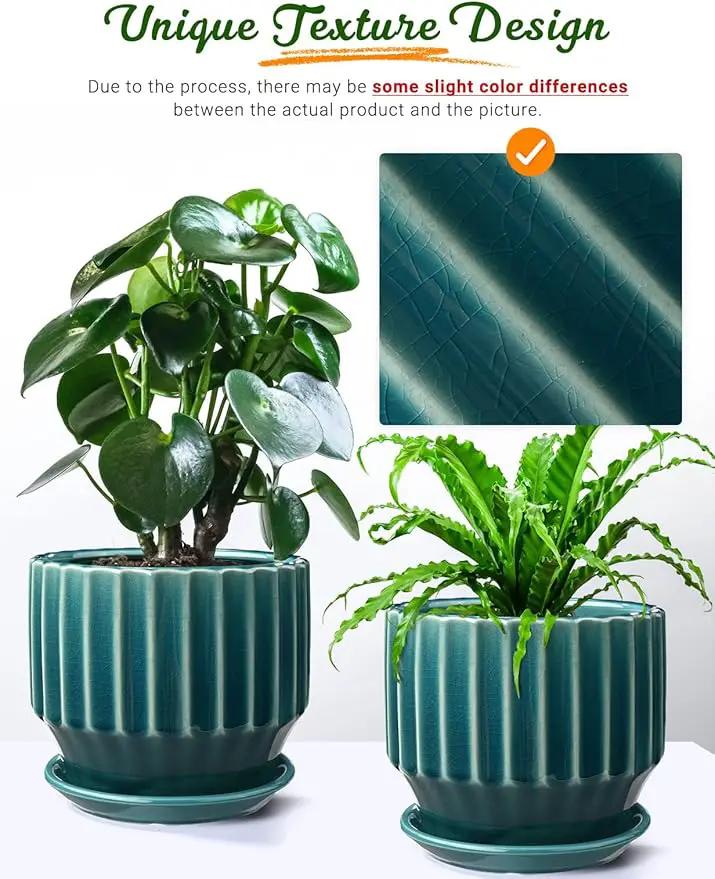 AISBUGUR Plant Pots 6 inch Ceramic Pots for Indoor Plants Set of 2 Flower Pots Unique Crackle Glaze Design Plant Pots with Drainage Hole and Saucer Come with Drainage Nets (Aqua Green) by GreenHaven Gardens