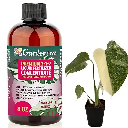 Premium Liquid Thai Constellation Plant Fertilizer - 3-1-2 Concentrate for Indoor Plants and Flowers by Gardenera | Organic Plant Food for Monstera Plants - 8oz by GreenHaven Gardens