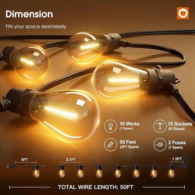 addlon 50FT LED Outdoor String Lights Timer Control with Edison Shatterproof Bulbs, Weatherproof Strand, Commercial Grade Patio Lights, Decorative for Garden or Patio, Black by GreenHaven Gardens