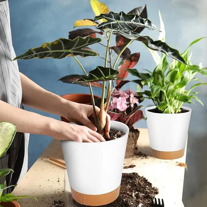 GARDIFE Plant Pots 7/6.5/6/5.5/5 Inch Self Watering Planters with Drainage Hole, Plastic Flower Pots, Nursery Planting Pot for All House Plants, African Violet, Flowers, and Cactus,White by GreenHaven Gardens