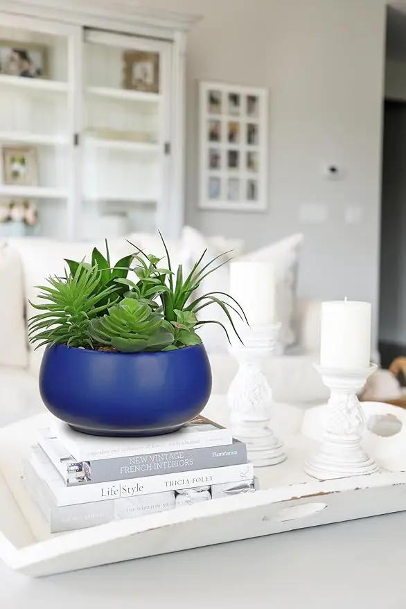Fake Plants Artificial Succulents in Pots Faux Succulent Arrangement Potted Plant in Blue Ceramic Planter Bowl for Home Decor Office Desk Bathroom Shelf Living Room Indoor Decorations by GreenHaven Gardens