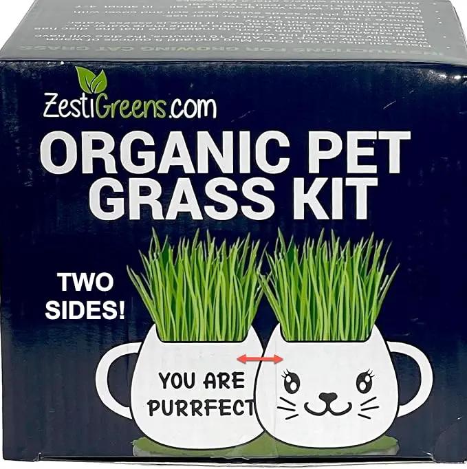 Organic Cat Grass Growing Kit - Promotes Natural Hairball Control and Digestive Wellness - Includes Organic Seed Mix, Nutrient-Rich Soil, and Stylish White Cat Planter by GreenHaven Gardens