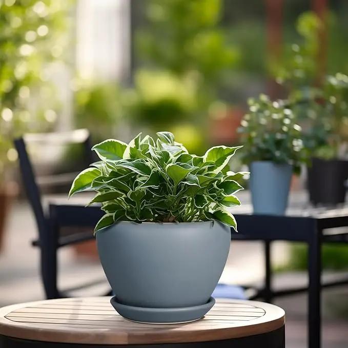 Ceramic Pot for Plants - 6 Inch Plant Pot Indoor with Drainage Hole and Saucer Decorative Planter for Outdoor Plants Modern Succulent Pots Round Flower Pots Gray by GreenHaven Gardens