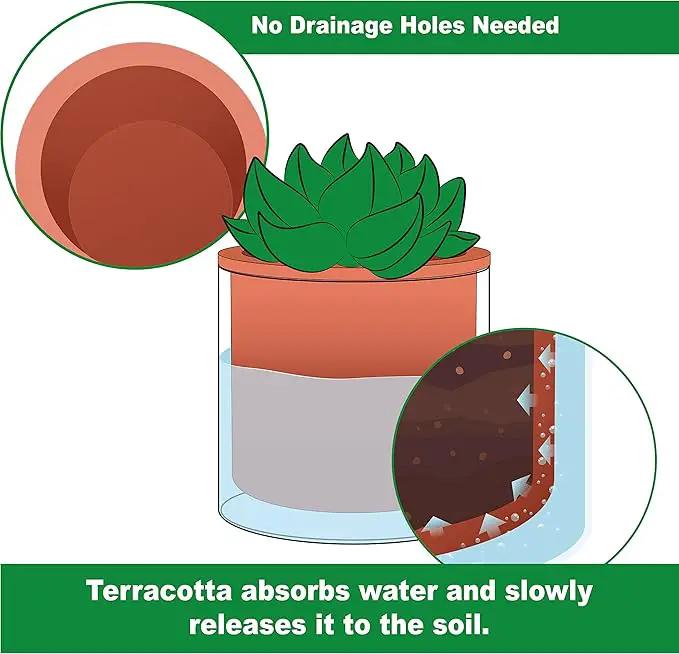 Phoenix Vine 4 Inch Self Watering Plants Pot, Design Terracotta Pot for Plants, Indoor Cylinder Terra Cotta Planter with Glass Vase, Set of 4, 51-A-E-4 by GreenHaven Gardens