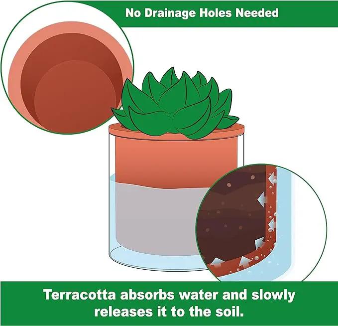 Phoenix Vine 4 Inch Self Watering Plants Pot, Design Terracotta Pot for Plants, Indoor Cylinder Terra Cotta Planter with Glass Vase, Set of 2, 51-A-E-2 by GreenHaven Gardens