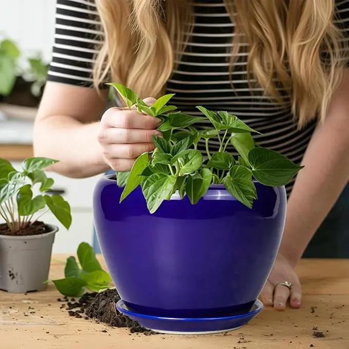 Ceramic Plant Pot 8 Inch - Planter for Outdoor Plants Indoor Plant Pot with Drainage Hole and Saucer Decorative Round Planter Modern Flower Pot for House Decor Blue by GreenHaven Gardens