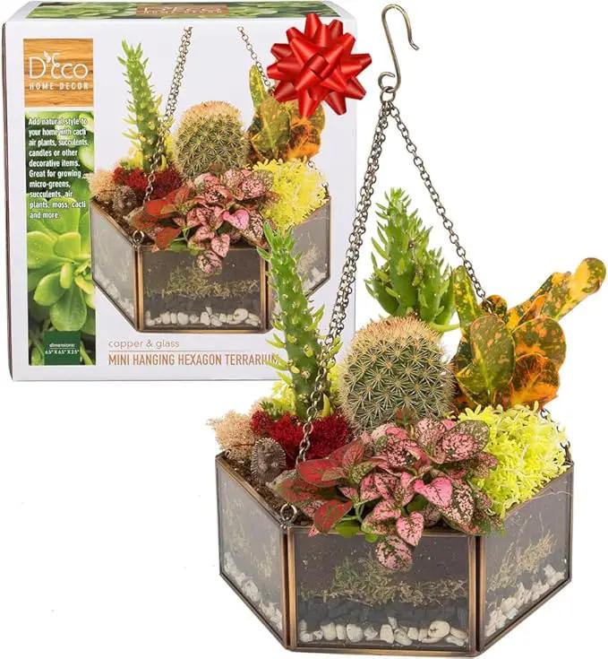 Deco Glass Geometric DIY Terrarium, Succulent & Air Plant- Hanging Mini Hexagon Shaped for Indoor Gardening Decor- Create Your own Flower, Fern, Moss Centerpiece- Amazing Holiday and Wedding Gift by GreenHaven Gardens