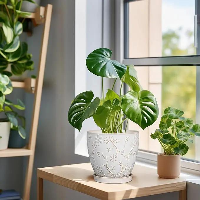 6 Inch Ceramic Plant Pot for Indoor Plants Outdoor Round Planter Flower Pot with Drainage Hole and Saucer for Home Garden Office Decor White by GreenHaven Gardens