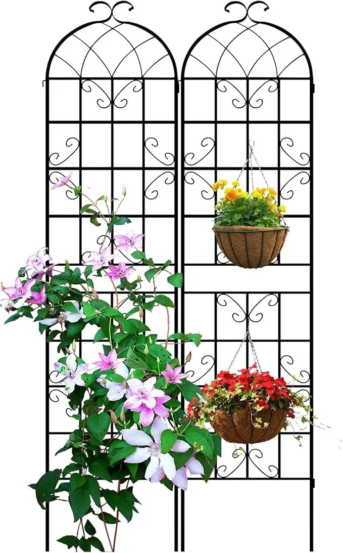 LZRS 2 Pack 87x20in Rustic Iron Arch Decoration Garden Trellis with Black Metal Coating – Perfect for Supporting Climbing Plants Outdoor, Roses, Vines, Flowers, and Vegetables. by GreenHaven Gardens