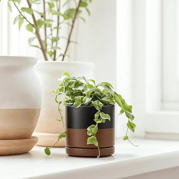 D'vine Dev 3.5 Inch & 4.7 Inch Ceramic Planter Pots for Plants with Drainage Hole and Saucer, X-Small Plant Pots Set, Black/Speckled Tan, 94-G-XS-7 by GreenHaven Gardens