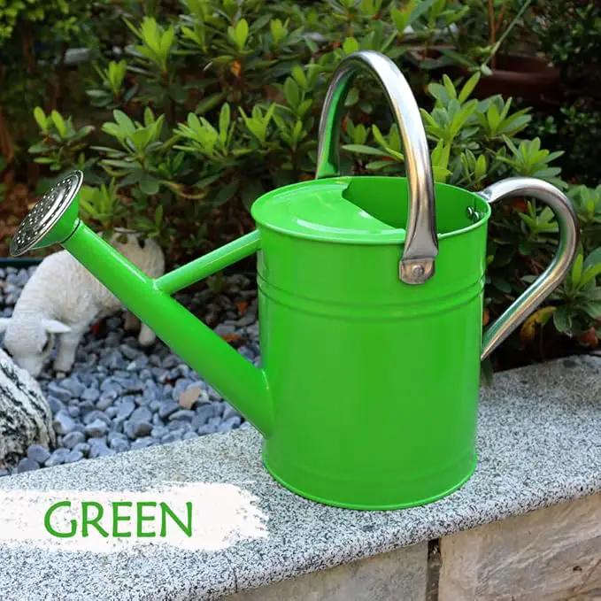 Metal Watering Can, One Gallon Watering Cans Stainless Steel for Outdoor Indoor Garden Plants Watering (Stainless Steel Handle Green) by GreenHaven Gardens