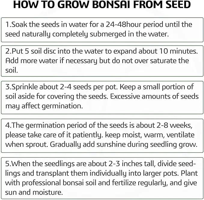 5 Bonsai Tree Kit Complete Plant Growing Tools, Grow in Pot Indoor Bonsai Tree Starter Kit, Great Home Gardening Potted Plants DIY Gift for Adults by GreenHaven Gardens