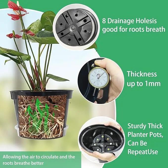 12 Pack Plant Pots, 8 Inch Plant Planter with Clear Saucer, Plastic Pots for Plants Indoor and Out Door Such as Strawberry, Herb and Flowers (Black) by GreenHaven Gardens
