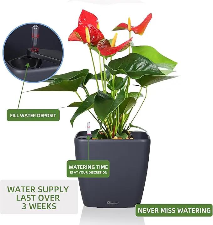 Dexceder 11x10 Self Watering Planter Indoor Outdoor, Inner Mat Design, Thickened Table Flower Plant Pot with Water Level Indicator (Slate Gray Matte) by GreenHaven Gardens