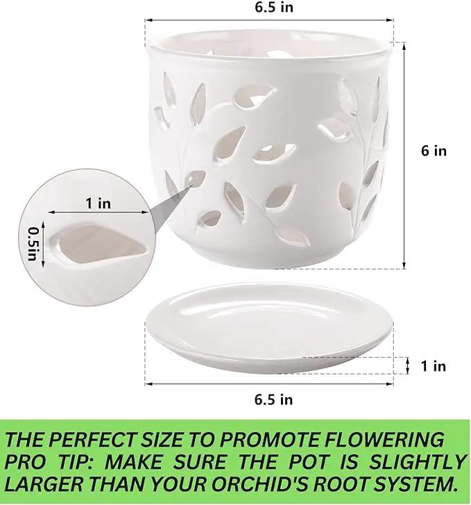 Orchid Pot with Holes & Saucer Ceramic 6.5 in. Indoor or Outdoor Large Pot for Orchid Care & Root Health with Precise Aeration & Drainage – Durable for Repotting or New Plants by GreenHaven Gardens