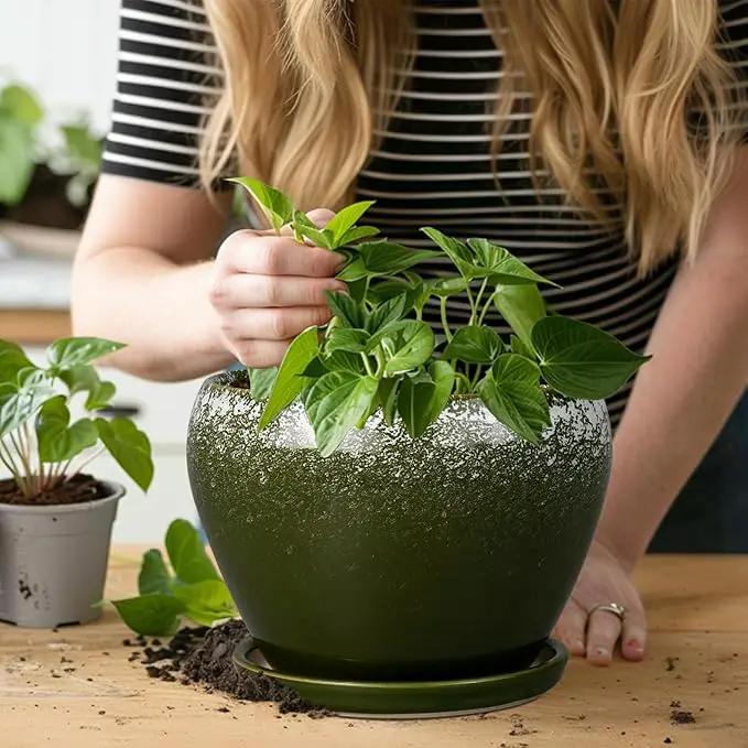 8 Inch Plant Pot - Ceramic Planter with Drainage Hole and Saucer, Modern Flower Pot for Glazed Indoor Plants Outdoor, Dark Green by GreenHaven Gardens