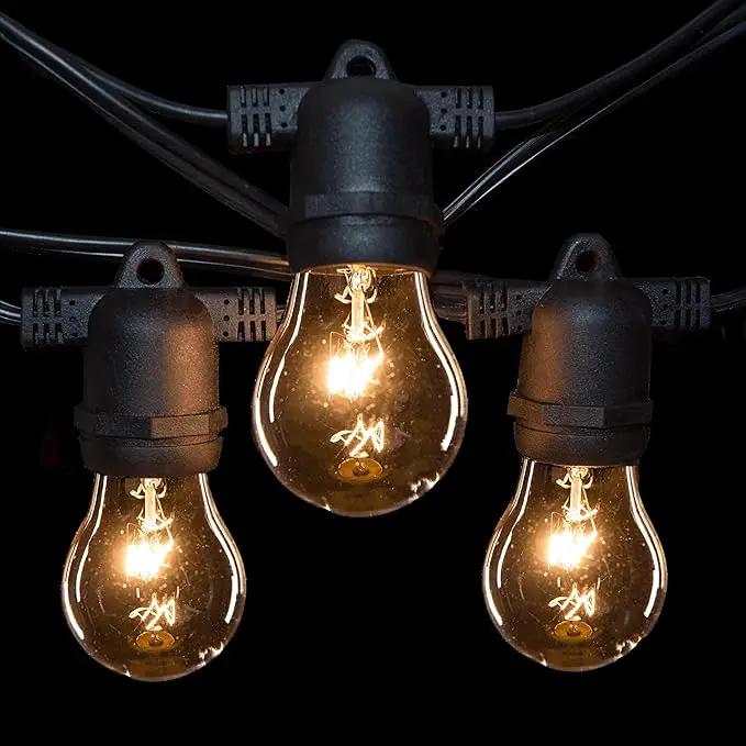 Hometown Evolution, Inc. E26 Commercial String Lights with 16 Gauge Wire (50 Foot 25 Socket, A15 15 Watt Clear Bulbs) by GreenHaven Gardens