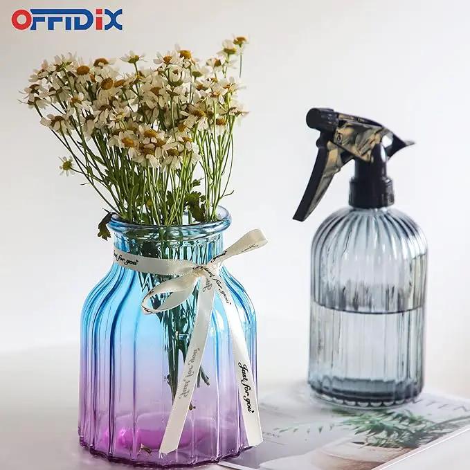 OFFIDIX Glass Spray Bottle, Garden Plants Indoor Plant Mister with Adjustable Nozzle, 0.4L/13.5oz Pressure Watering Can Handheld Spray Bottle for Outdoor Indoor Plants and Cleaning Work (Gray) by GreenHaven Gardens