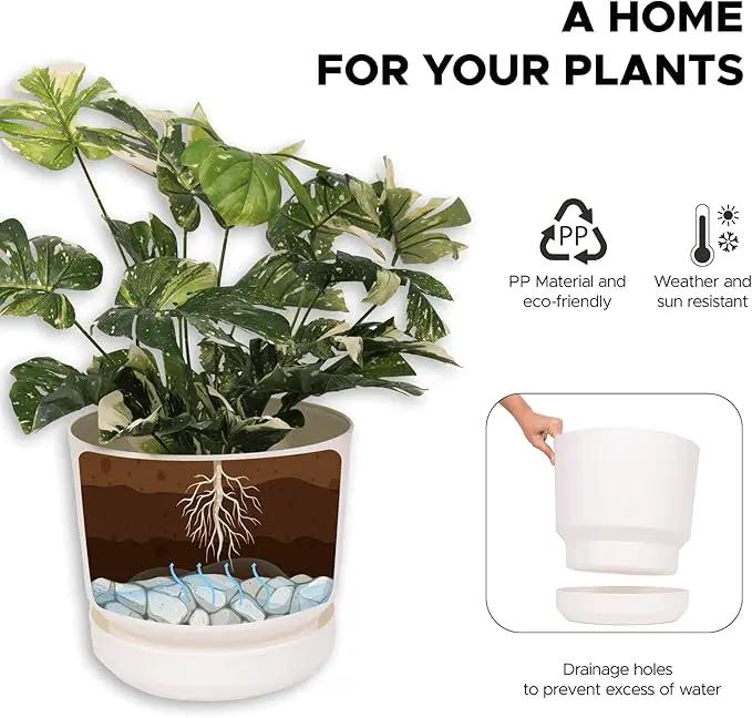 Elly Décor 8 inch Plastic Cylinder Planter Pot with Self-Watering Saucer and Drainage Hole,Lightweight & Extremely Durable, 8"x 8", White by GreenHaven Gardens