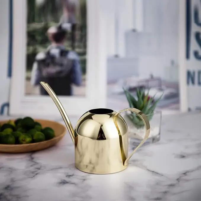 IMEEA Gold Watering Can for Indoor Plants, Orchid, Bonsai - Stainless Steel With Long Spout for House, Desk, Office - 15oz/450ml by GreenHaven Gardens