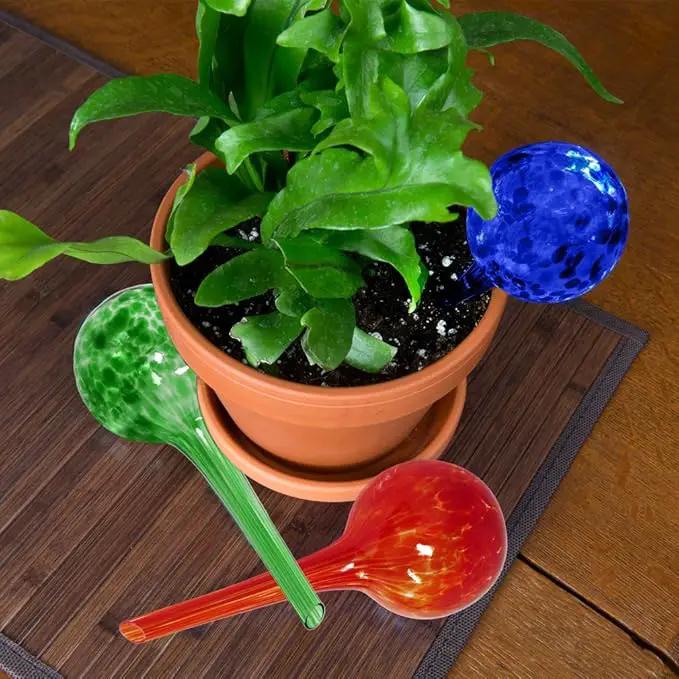 Evelots Plant Watering Globes (6 Pack) - Hand Blown Glass - Automatic Water Irrigation System - Indoor/Outdoor - Leave Your Home Worry Free by GreenHaven Gardens