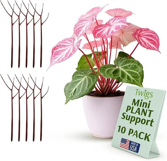 Twigs - Plant Support Stakes for Indoor, Outdoor & Climbing Plants, Gardening Supplies, Garden Accessories, Trellis & Ring Alternative, Made in USA - Begonia (Red), 10 Pack, 12" L, Mini Twigs by GreenHaven Gardens