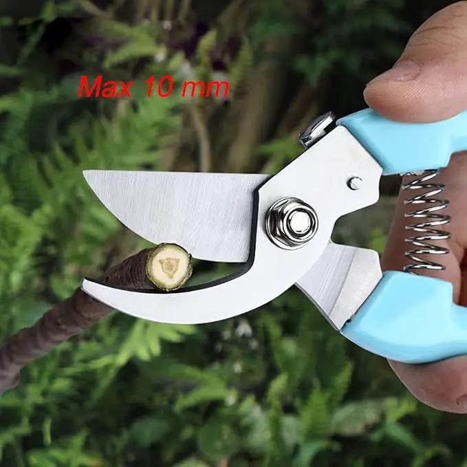 Curve Gardening Scissor with Sharp Stainless Steel Blade Garden Shears for Cutting Flowers Trimming Plants of Yard Florist Flower Rose Herb Hedge Bonsai and Fruits Picking (Green Handle) by GreenHaven Gardens