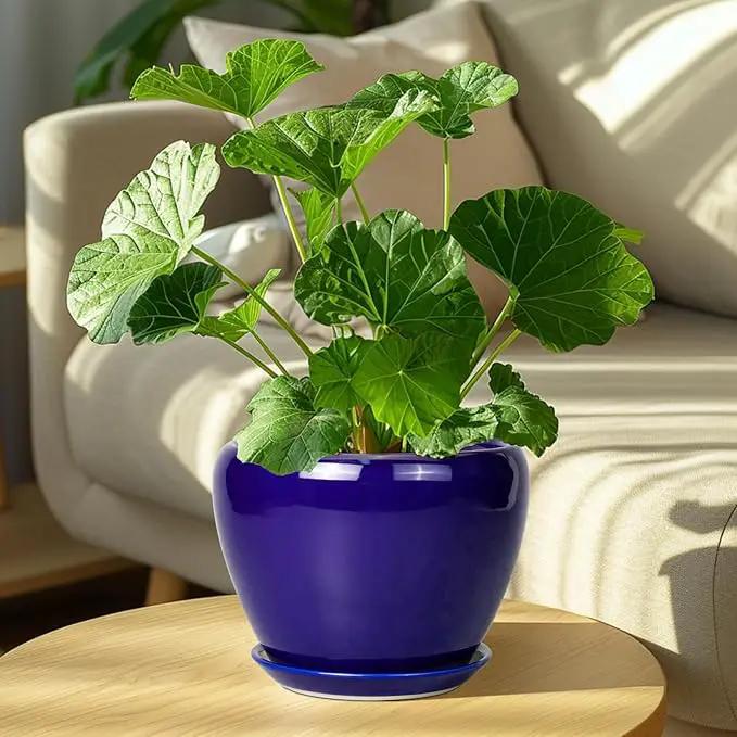 Ceramic Plant Pot 8 Inch - Planter for Outdoor Plants Indoor Plant Pot with Drainage Hole and Saucer Decorative Round Planter Modern Flower Pot for House Decor Blue by GreenHaven Gardens