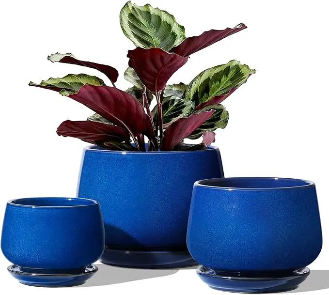 LE TAUCI Plant Pots, 4.1+5.1+6.5 inch, Set of 3, Ceramic Planters with Drainage Hole and Saucer, Indoor Flower Pot with Hole Mesh Pad, Gifts for Mom, Sapphire Blue by GreenHaven Gardens