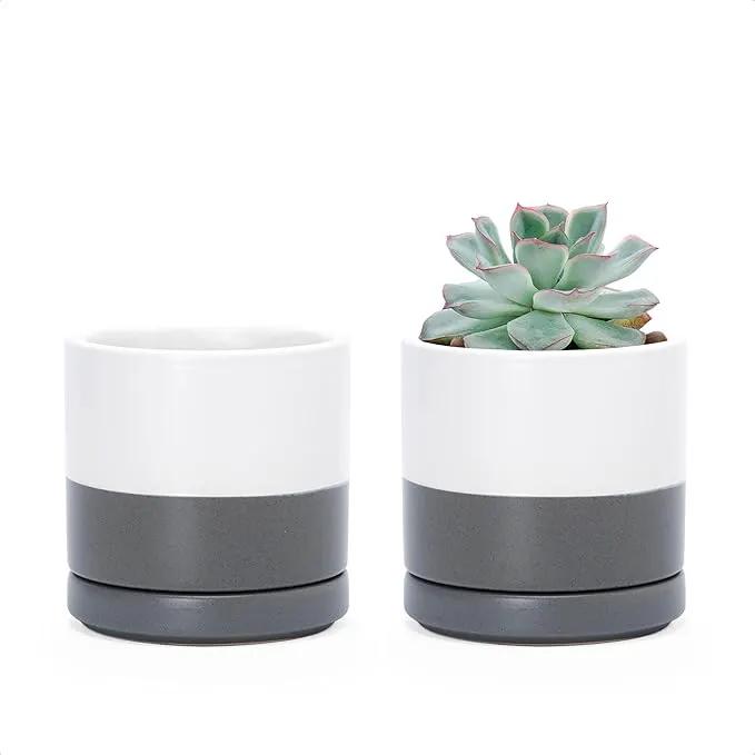 D'vine Dev Set of 2 Plants Pots, 3.5 Inch Ceramic Planter Pot for Plants with Drainage Hole and Saucer, White/Speckled Grey, 94-V-A-6 by GreenHaven Gardens