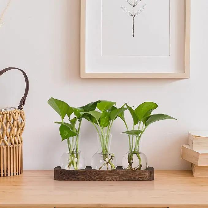 YIBOT Propagation Stations,Plant Propagation Vase,Desk Plant Terrarium with Retro Wooden Stand,Plant Lover Gifts for Women for Hydroponics Plants Home Garden Wedding Decor(3 Vase) by GreenHaven Gardens