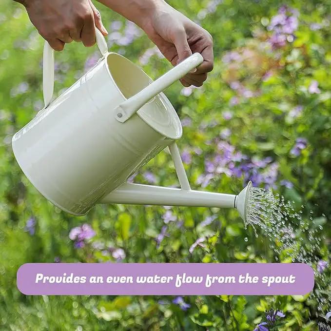 1 Gallon Watering Can for Plants, Watering Cans for Indoor&Outdoor Gardening, Galvanized Steel Watering Pot with Removable Spout, Metal Water Can with Ergonomic Movable Handle(White) by GreenHaven Gardens