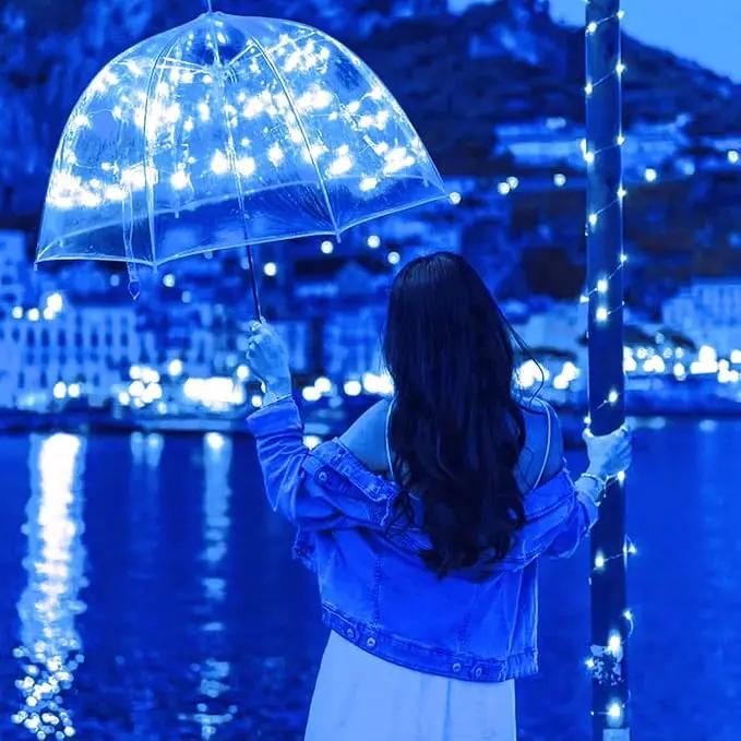 JMEXSUSS 2 Pack Blue Solar Fairy Lights Outdoor Waterproof, 200 LED 66FT Solar String Lights for Outside, 8 Modes Copper Wire Solar Christmas Lights for Garden Tree Patio Christmas Decoration by GreenHaven Gardens