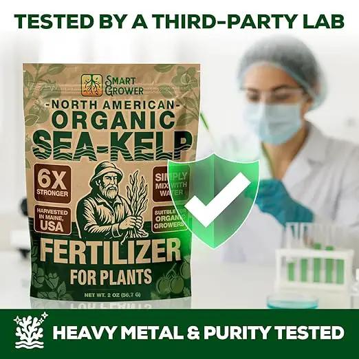 Organic Sea Kelp Fertilizer for Plants – Water-Soluble – Makes 100 Gallons – Kelp Meal Concentrate Plant Food – for Indoor Gardens, Hydroponics, Vegetables, Houseplants - Smart Grower - 4oz Bag by GreenHaven Gardens